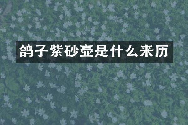 鸽子紫砂壶是什么来历