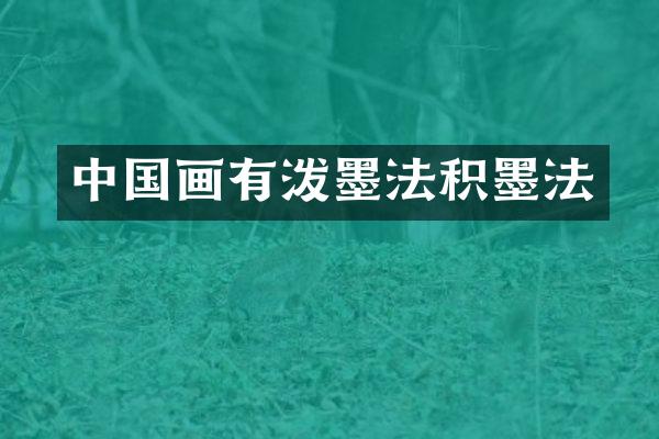 中国画有泼墨法积墨法