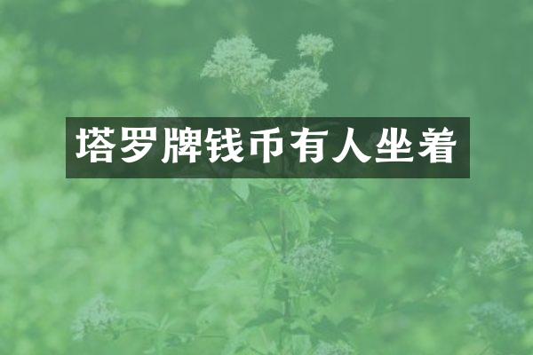 塔罗牌钱币有人坐着