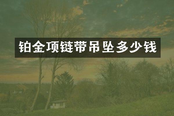 铂金项链带吊坠多少钱