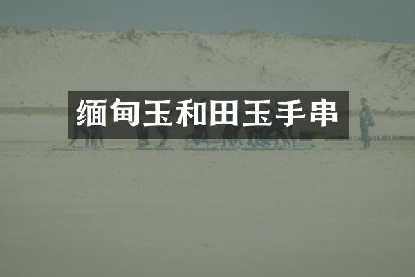 缅甸玉和田玉手串