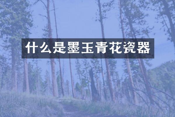 什么是墨玉青花瓷器