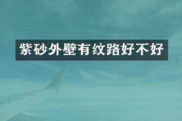 紫砂外壁有纹路好不好