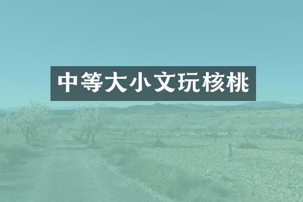 中等大小文玩核桃