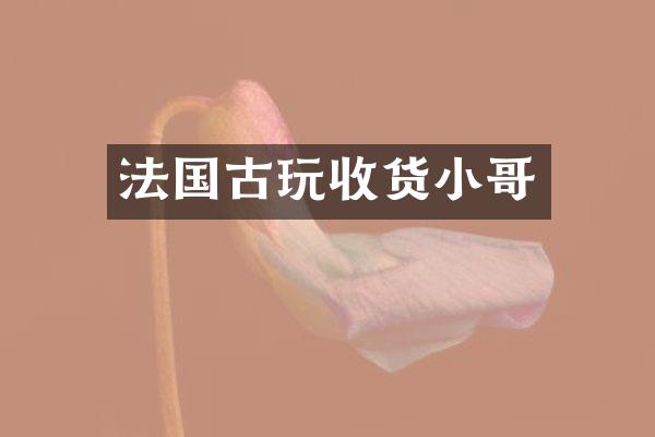 法国古玩收货小哥