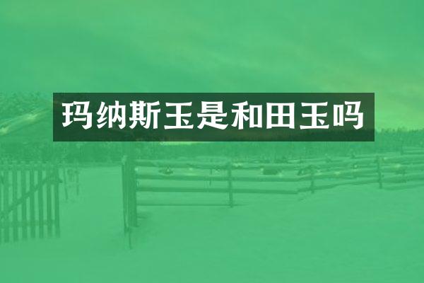 玛纳斯玉是和田玉吗