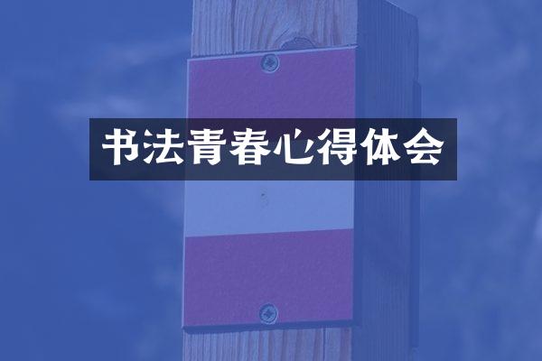 书法青春心得体会