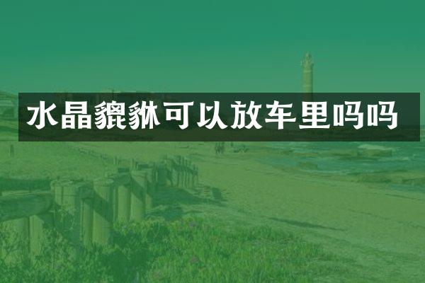 水晶貔貅可以放车里吗吗