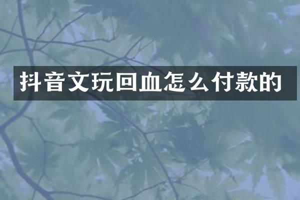 抖音文玩回血怎么付款的