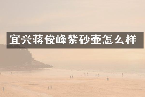 宜兴蒋俊峰紫砂壶怎么样