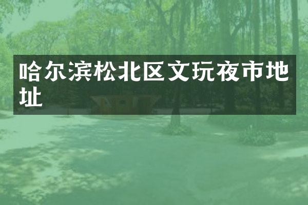 哈尔滨松北区文玩夜市地址