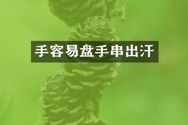 手容易盘手串出汗