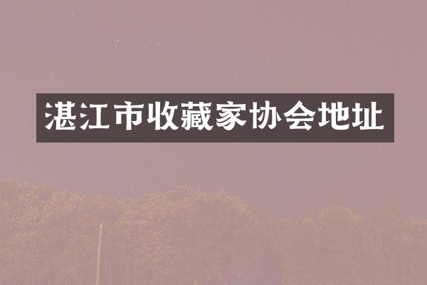 湛江市收藏家协会地址
