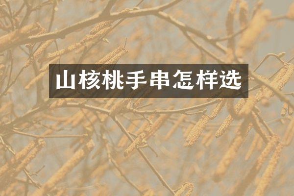 山核桃手串怎样选