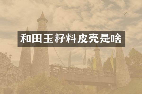 和田玉籽料皮壳是啥