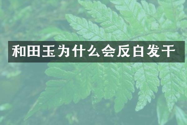和田玉为什么会反白发干