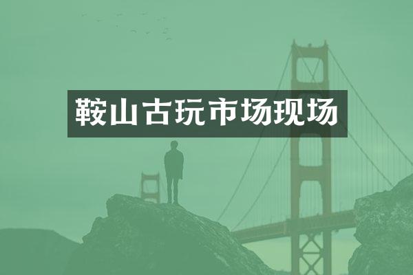 鞍山古玩市场现场