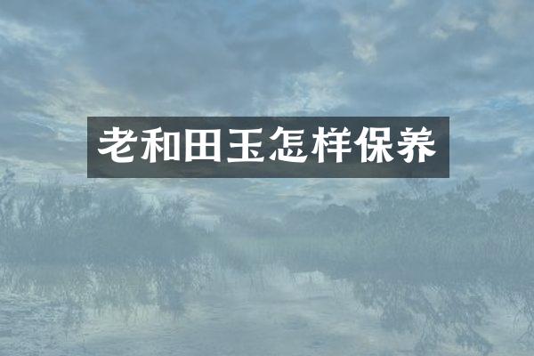 老和田玉怎样保养