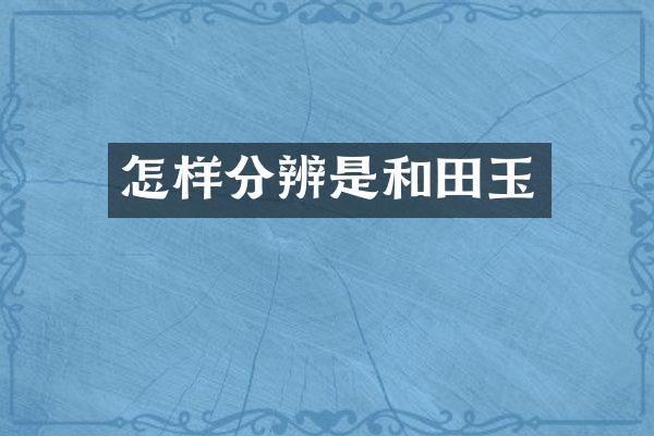 怎样分辨是和田玉