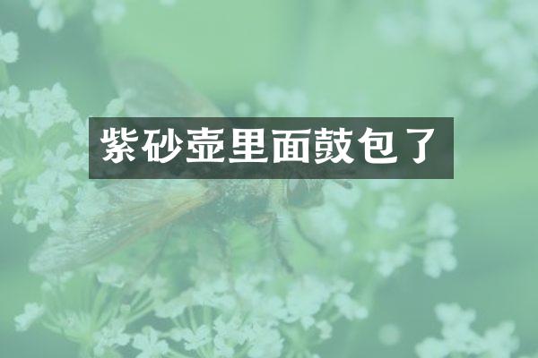 紫砂壶里面鼓包了