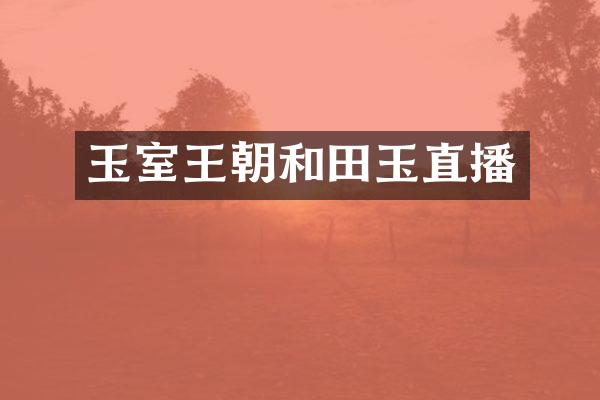 玉室王朝和田玉直播