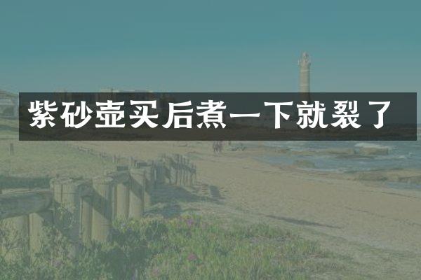 紫砂壶买后煮一下就裂了