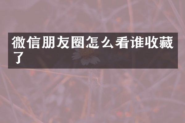 微信朋友圈怎么看谁收藏了