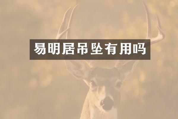 易明居吊坠有用吗