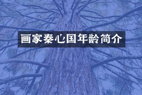 画家秦心国年龄简介