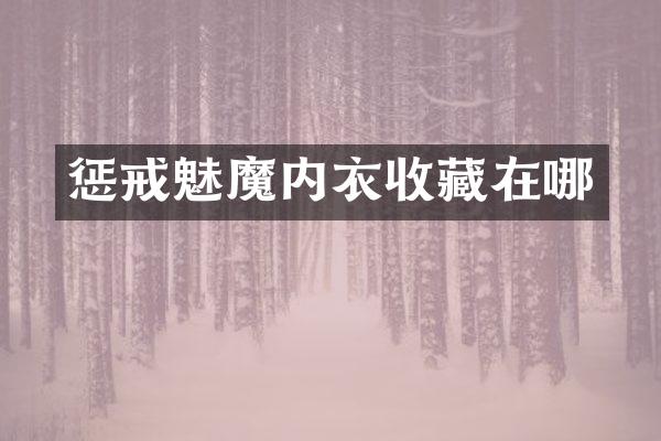 惩戒魅魔内衣收藏在哪