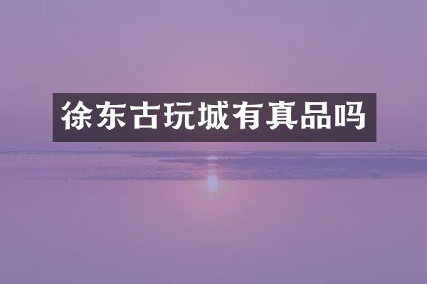 徐东古玩城有真品吗