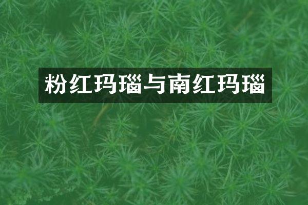 粉红玛瑙与南红玛瑙