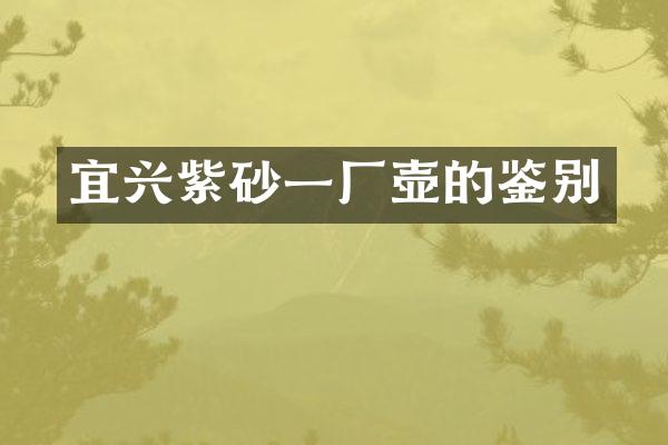 宜兴紫砂一厂壶的鉴别