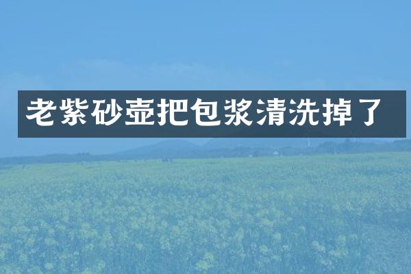 老紫砂壶把包浆清洗掉了