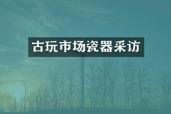 古玩市场瓷器采访