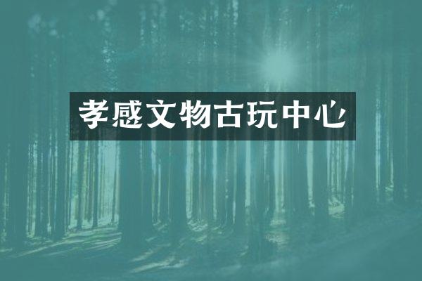 孝感文物古心