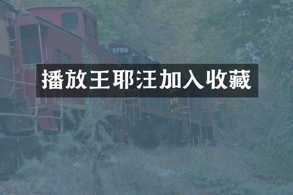 播放王耶汪加入收藏