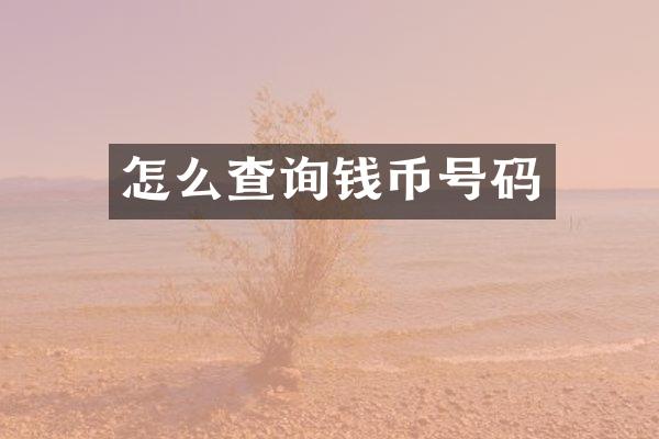 怎么查询钱币号码