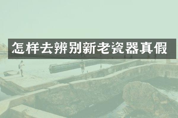 怎样去辨别新老瓷器真假
