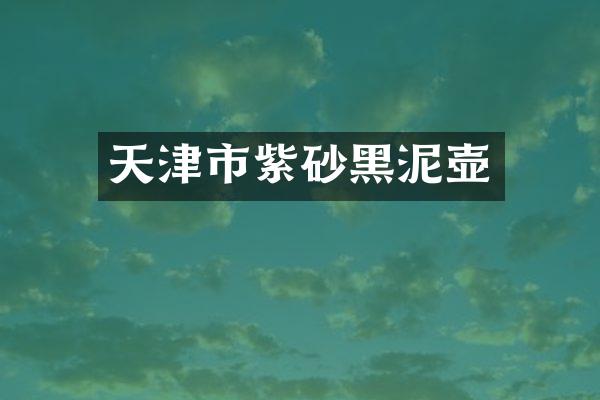 天津市紫砂黑泥壶