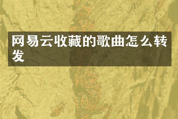 网易云收藏的歌曲怎么转发