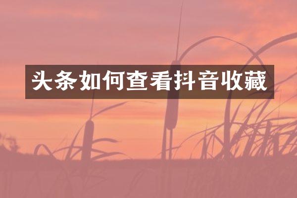 头条如何查看抖音收藏