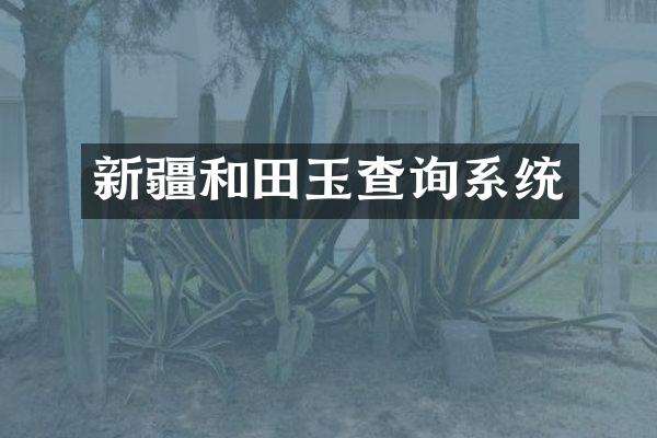 新疆和田玉查询系统