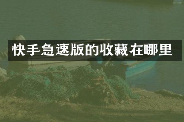 快手急速版的收藏在哪里