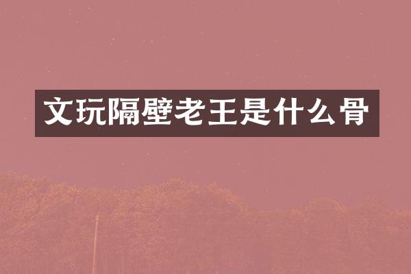 文玩隔壁老王是什么骨