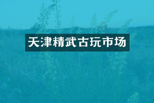 天津精武古玩市场