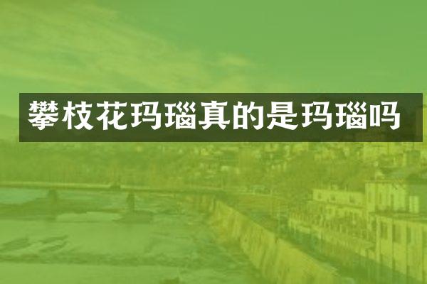 攀枝花玛瑙真的是玛瑙吗