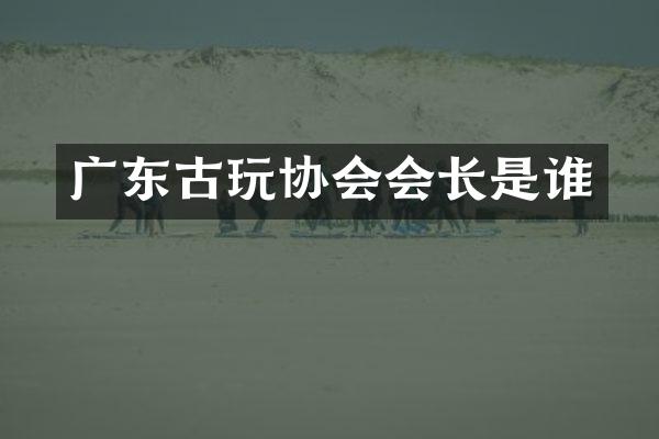 广东古玩协会会长是谁