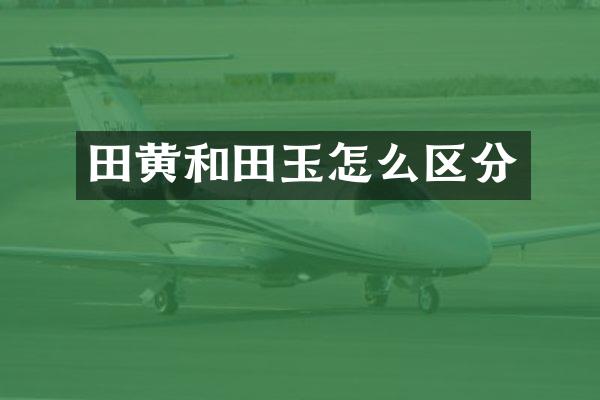 田黄和田玉怎么区分