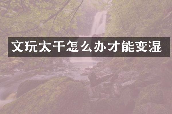 文玩太干怎么办才能变湿